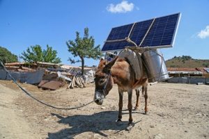 Eşek sırtında g&uuml;neş enerjisinden yararlanıyorlar