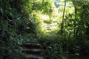 Samsun'da antik yol bulundu