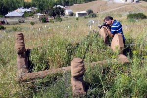 Kaybolmuş bitkileri mezarlıklarda arıyorlar