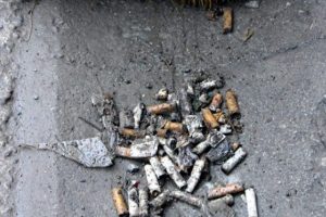 D&uuml;nyada her yıl 5 trilyon izmarit &uuml;retiliyor