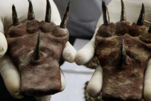 1500 yıllık savaş pen&ccedil;eleri