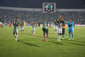 Timsah tura inanıyor