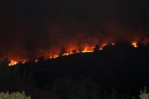 Şırnak'ta orman yangına k&ouml;yl&uuml;ler m&uuml;dahale ediyor