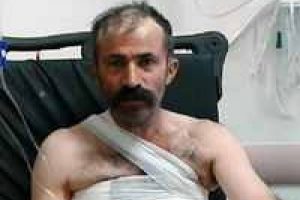 Hayvanlarını otlatırken ayının saldırısına uğradı