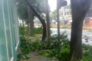 Rammasun &Ccedil;in'i de vurdu: 16 &ouml;l&uuml;