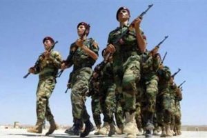 Urfa'da &ccedil;atışma: 2 asker şehit