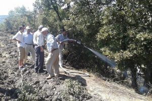 Bursa'da elektrik tellerine temas eden kuş, yangın &ccedil;ıkardı