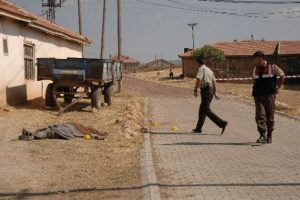 İki metre i&ccedil;in iki can