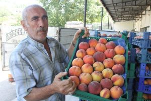 Bursa'nın kıymetlileri altın yılını yaşıyor