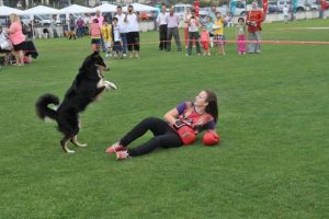 K&ouml;pek ırkları Nil&uuml;fer'de yarışacak