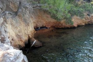 Bodrum'da g&ouml;r&uuml;nt&uuml;lendi