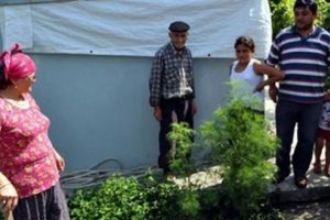 Baltalı yılan n&ouml;beti