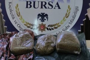 İneg&ouml;l'de uyuşturucu operasyonu