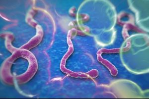 Sağlık Bakanlığı'ndan ebola a&ccedil;ıklaması