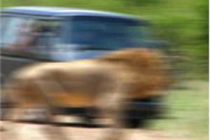 Safaride tecav&uuml;z dehşeti!