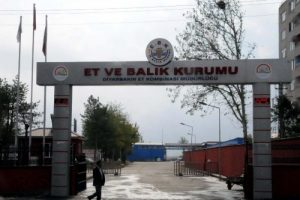 Yeni Titan Saadet Zinciri vakası