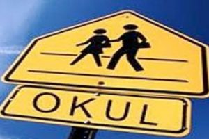 &Ouml;zele giden veliye kayıt şoku