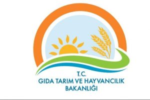 2605 otelde denetim: 111 bin lira ceza
