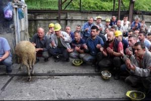 Yenilenen kabinler i&ccedil;in kurban kestiler
