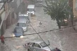 El sallayarak &ouml;l&uuml;me gitmişti...