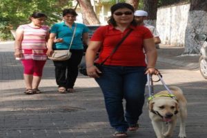 G&ouml;rme engelli kıza b&uuml;y&uuml;k ayıp!