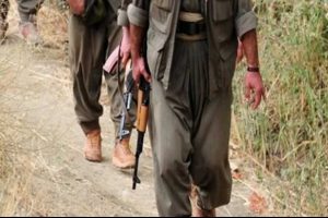 Şırnak'ta 15 PKK'lı teslim oldu