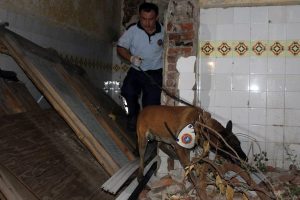 Bursa'da zehir tacirlerine operasyon!