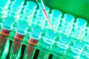 Organları tamir eden aşı &uuml;retiliyor