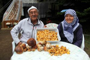 Uludağ'da mantar bereketi