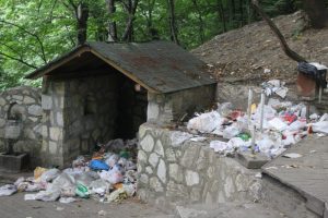 Kent Ormanı &ccedil;&ouml;pl&uuml;ğe d&ouml;nd&uuml;