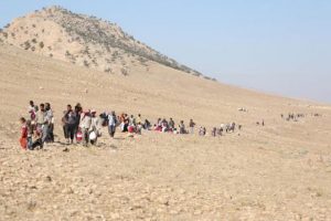 Yezidiler K&uuml;rtlerin silahlandırılmasından endişeli