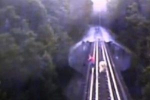 İsvi&ccedil;re'de bir tren raydan &ccedil;ıktı: 11 yaralı