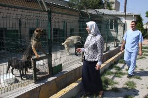 Onlar artık sahipsiz değil!