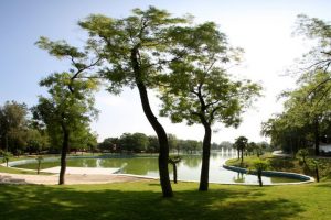 K&uuml;lt&uuml;rpark eski değerine yeniden kavuşacak