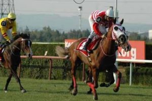 Bursa Vali Kupası Koşusu yapıldı