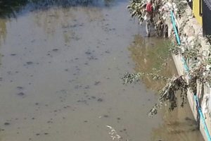 Kurbağalıdere zehir akıyor
