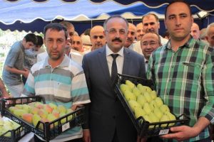 Bursa'da 'En G&uuml;zel Armut' se&ccedil;ildi