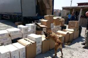 Sigara ka&ccedil;ak&ccedil;ılarına b&uuml;y&uuml;k darbe