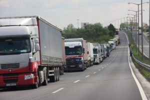 Kuyruğun uzunluğuna inanamayacaksınız!
