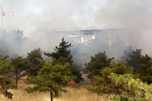 Atat&uuml;rk Orman &Ccedil;iftliği'nde orman yangını