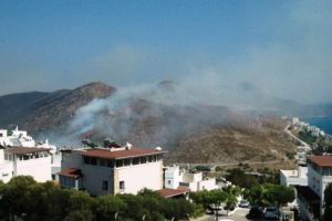 Bodrum'da yangının bilan&ccedil;osu ağır oldu