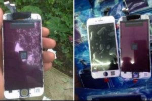 iPhone 6'yı beklerken yoksa iPhone 6L mi geliyor