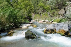 Danıştay 'dur' dedi bakanlık 'olur' verdi
