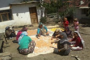 Tarhana telaşı başladı