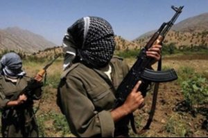 PKK 2 kişiyi ka&ccedil;ırdı