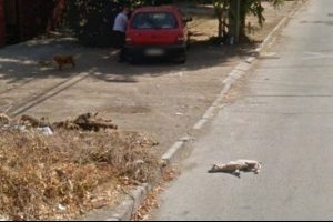 Google yayınladı! D&uuml;nya şokta...