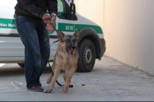 Operasyonlara Kocaeli'de devam!