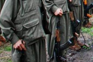 PKK k&ouml;y korucusunu ka&ccedil;ırdı