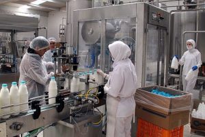 S&uuml;t ve s&uuml;t &uuml;r&uuml;nlerine sıkı denetim