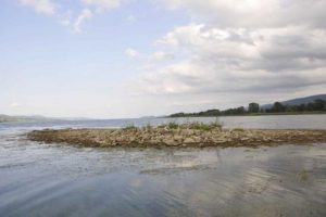 Sapanca G&ouml;l&uuml;'nde definecilerin talanı g&ouml;r&uuml;nt&uuml;lendi